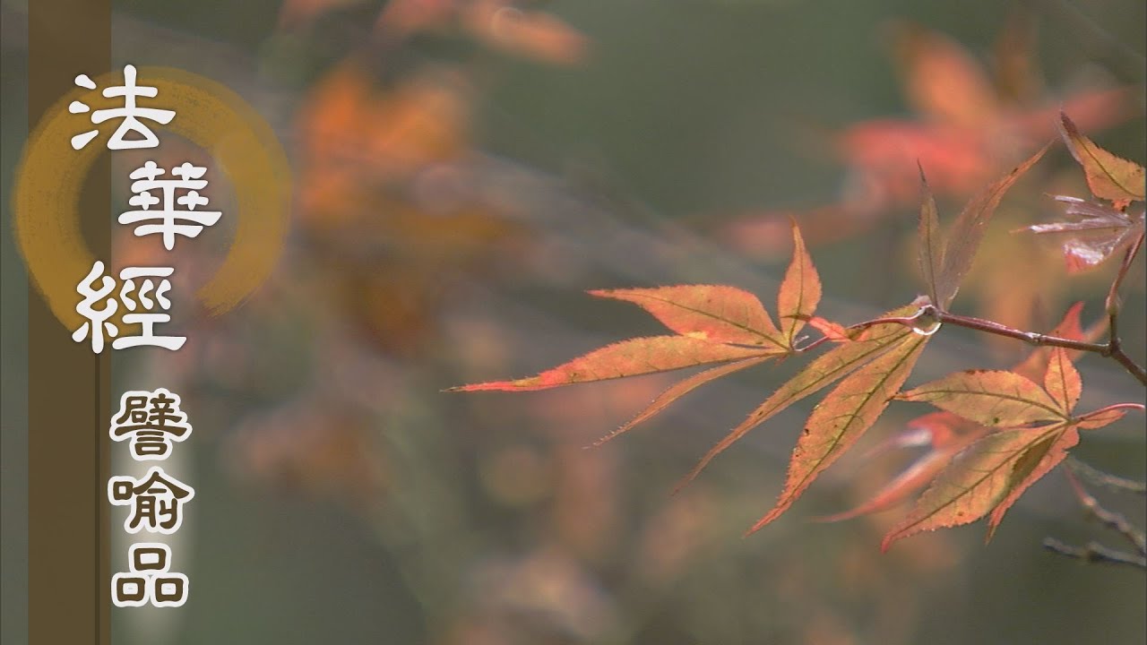 【靜思妙蓮華】法華經譬喻品 - 解悟無常 是法深妙 - 20201021 第517集