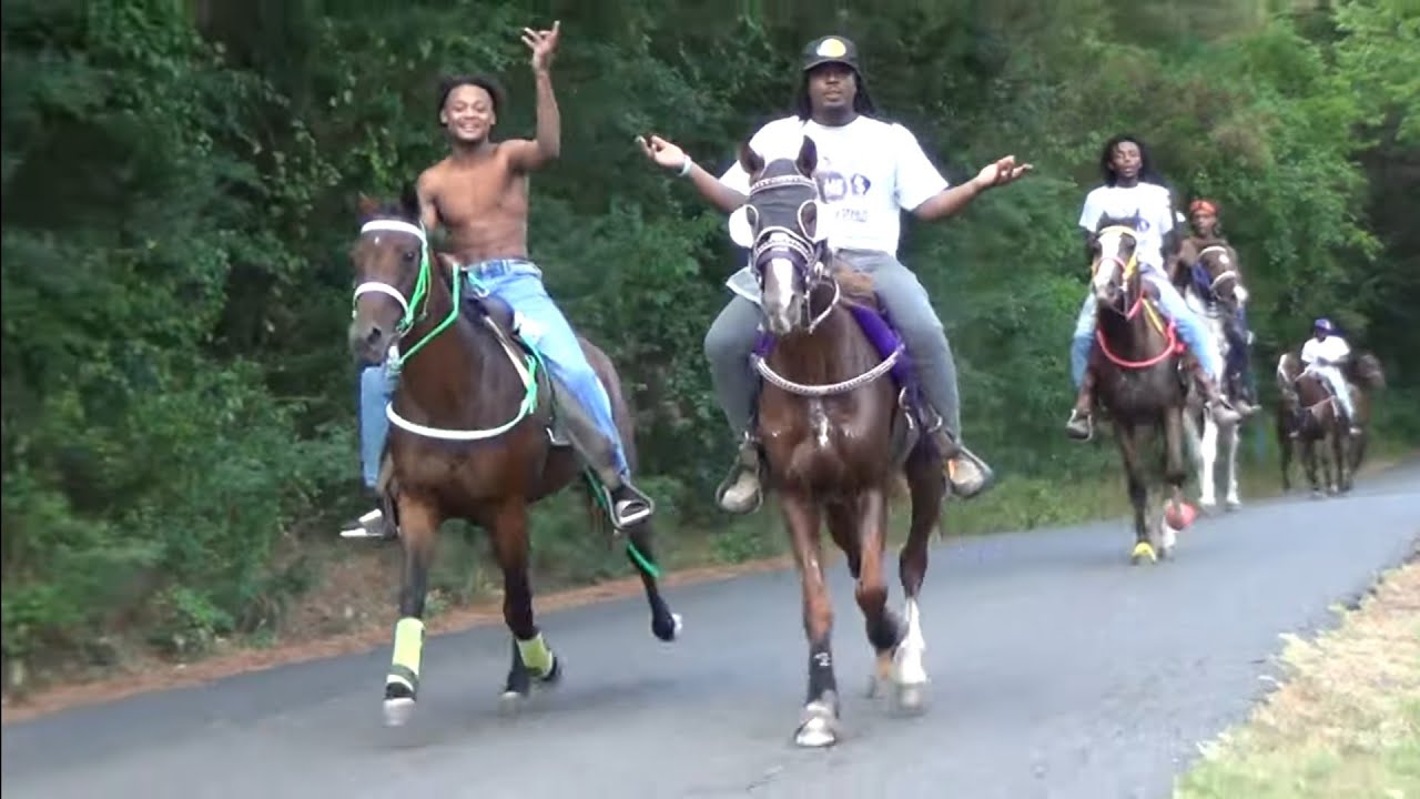 2022 Hooks Texas Walking Horse Trail Ride (July 16th)