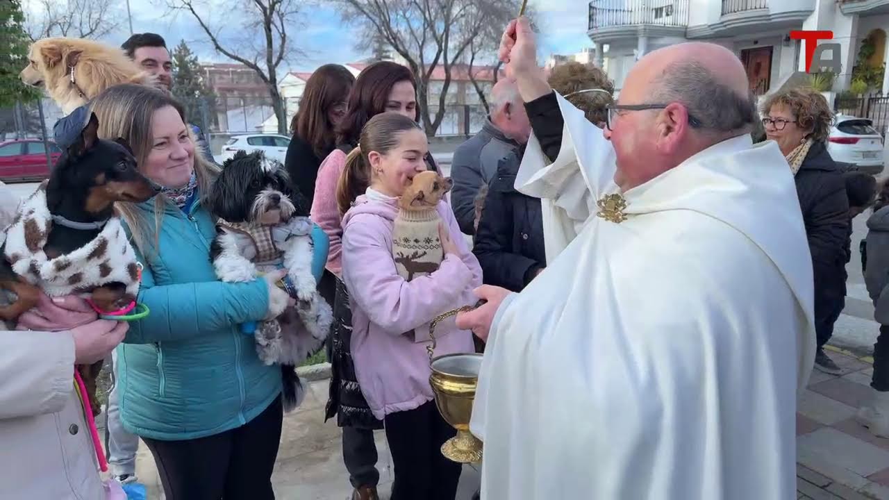 Bendición de animales en #Torredonjimeno