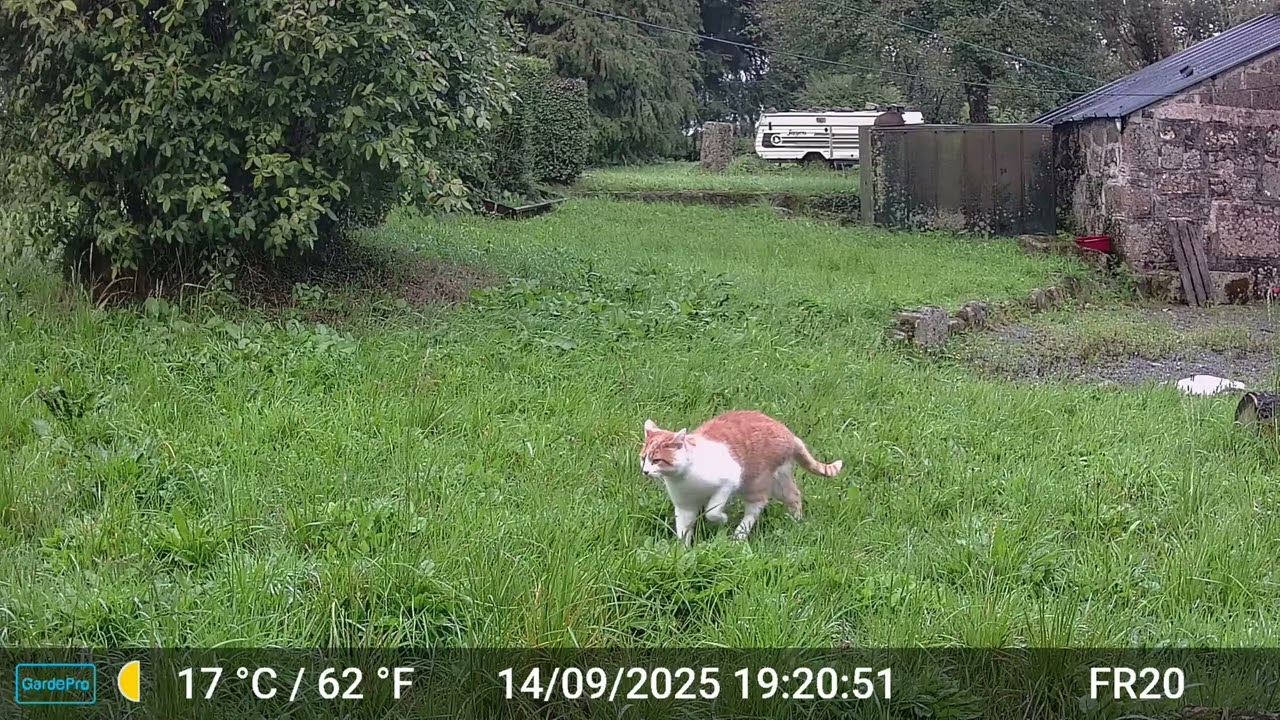 Pictures & Videos GardePro A3 Trail Camera 7 of 12 FR20 Part 4 Côtes d'Armor, Brittany, France