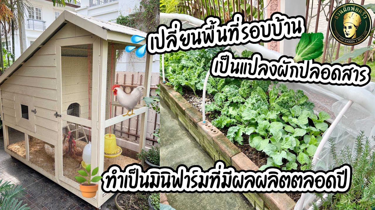 เปลี่ยนพื้นที่รอบบ้านเป็นแปลงผักปลอดสาร | ทำเป็นมินิฟาร์มที่มีผลผลิตตลอดปี | สวนผักพ่อครัว