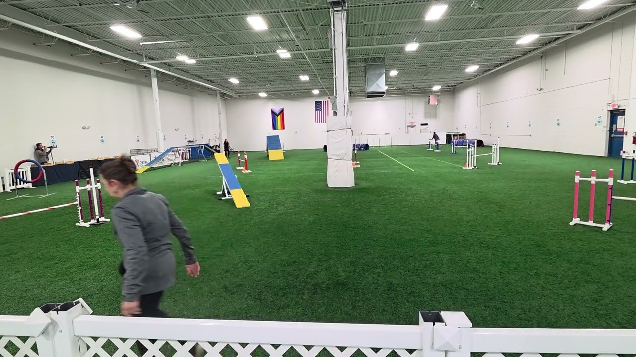 USDAA MASTER GAMBLERS RUN AT Y2K9 JAN 2026
