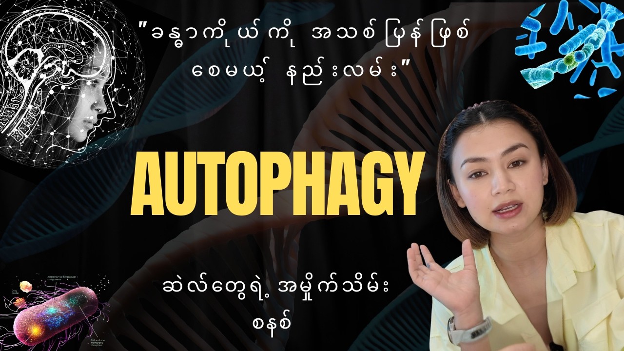 နုပျိုကျန်းမာစေမယ့် ခန္ဓာကိုယ်ရဲ့ လျှို့ဝှက်ချက် - Autophagy အကြောင်း သိကောင်းစရာ။
