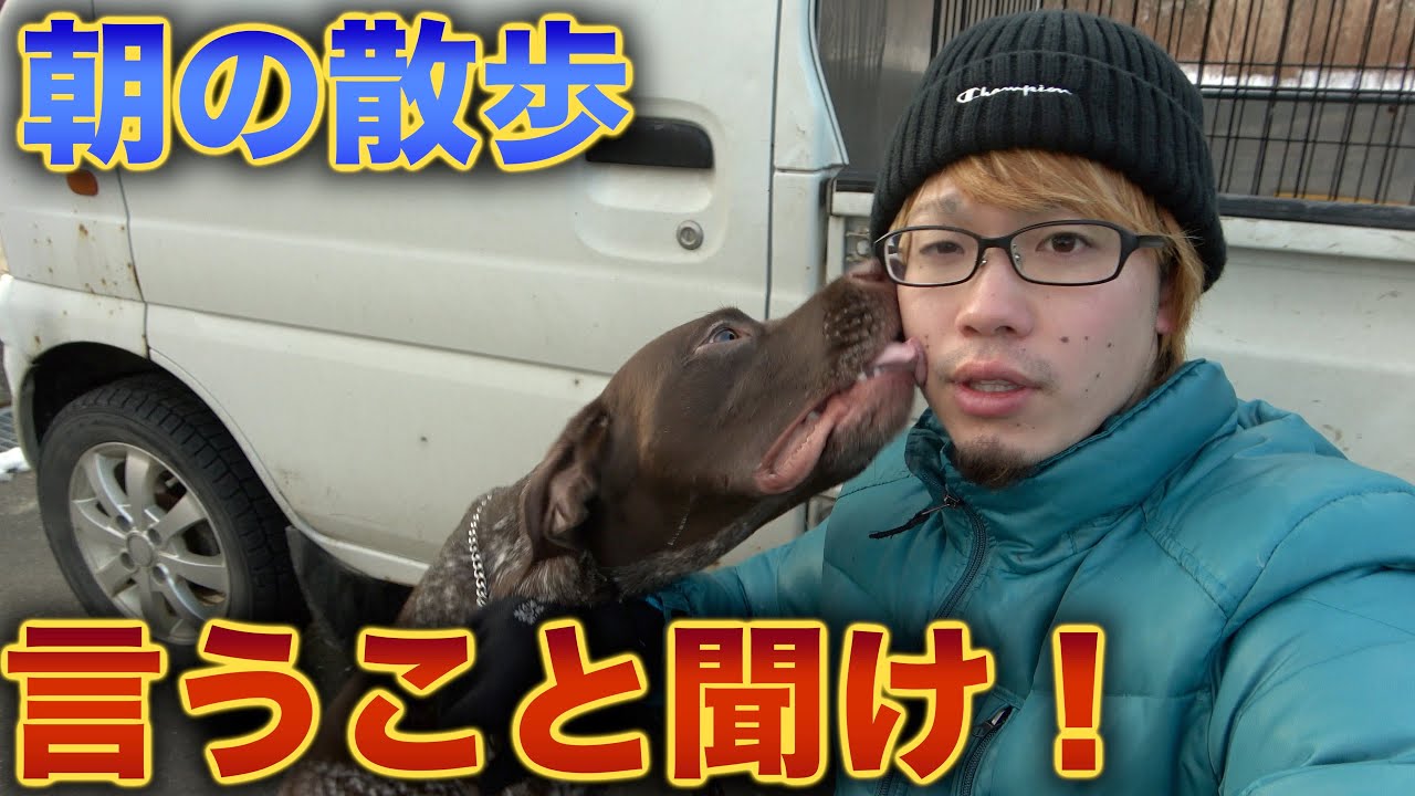 愛犬を散歩させてたら襲われた