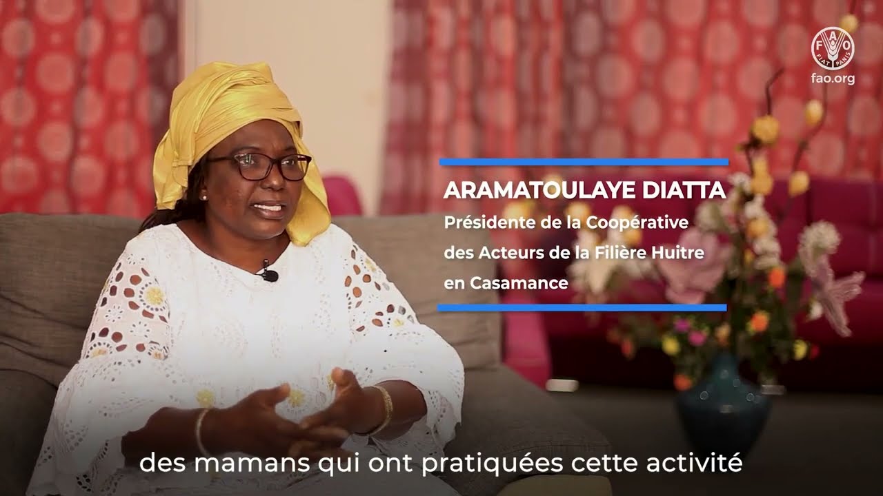 Sénégal - Exploitation et culture de l'huitre de mangrove