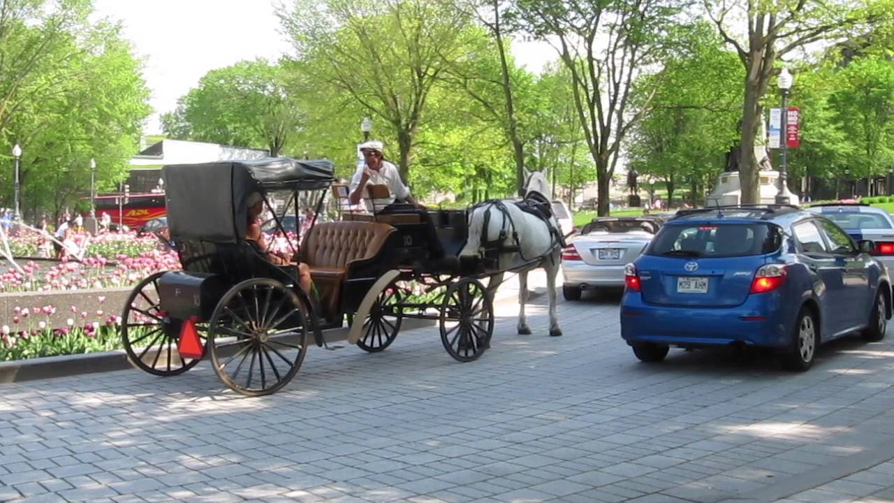 Montreal&rsquo;deki turistik faytonlar yasaklandı