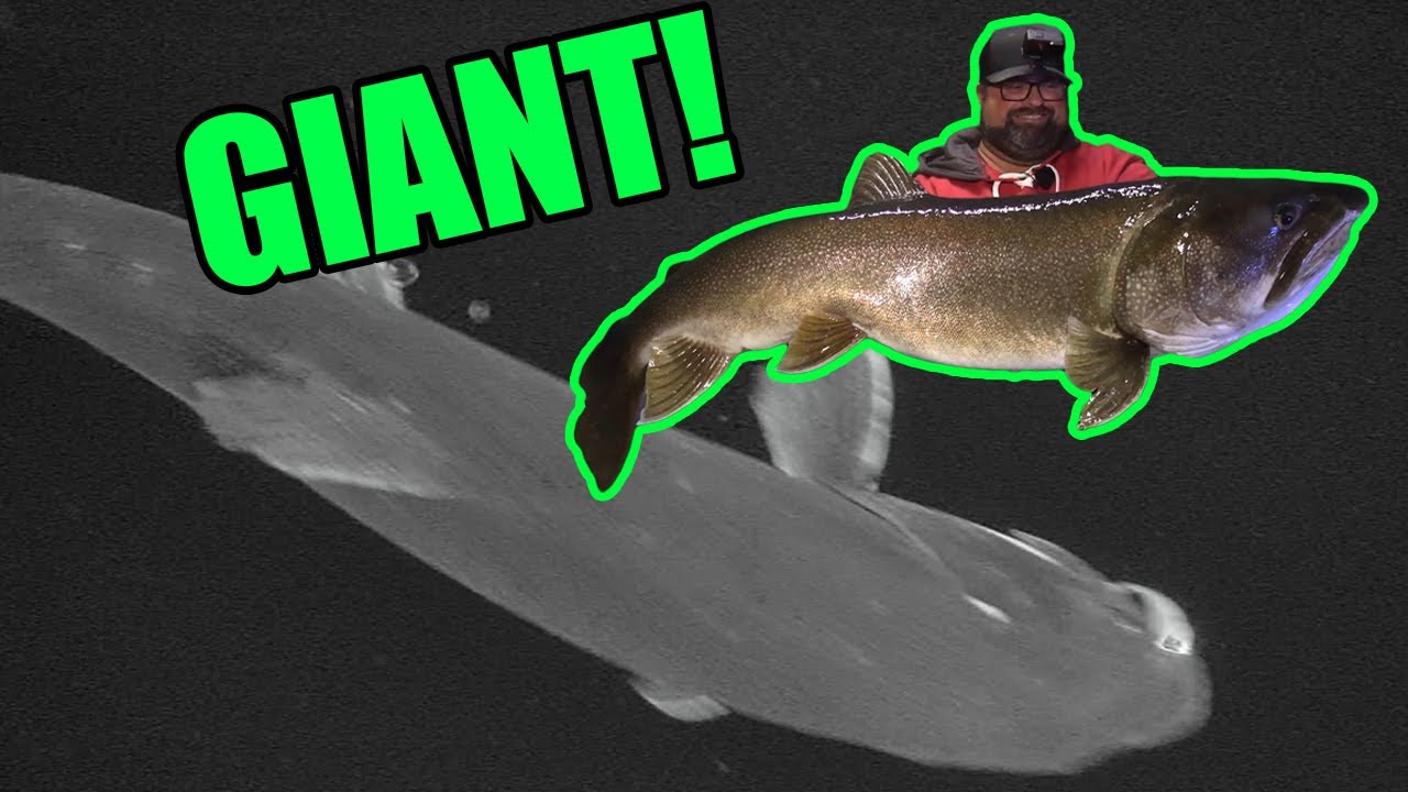 A Day of Ice Fishing I will NEVER forget! | Lake Trout BANG!
