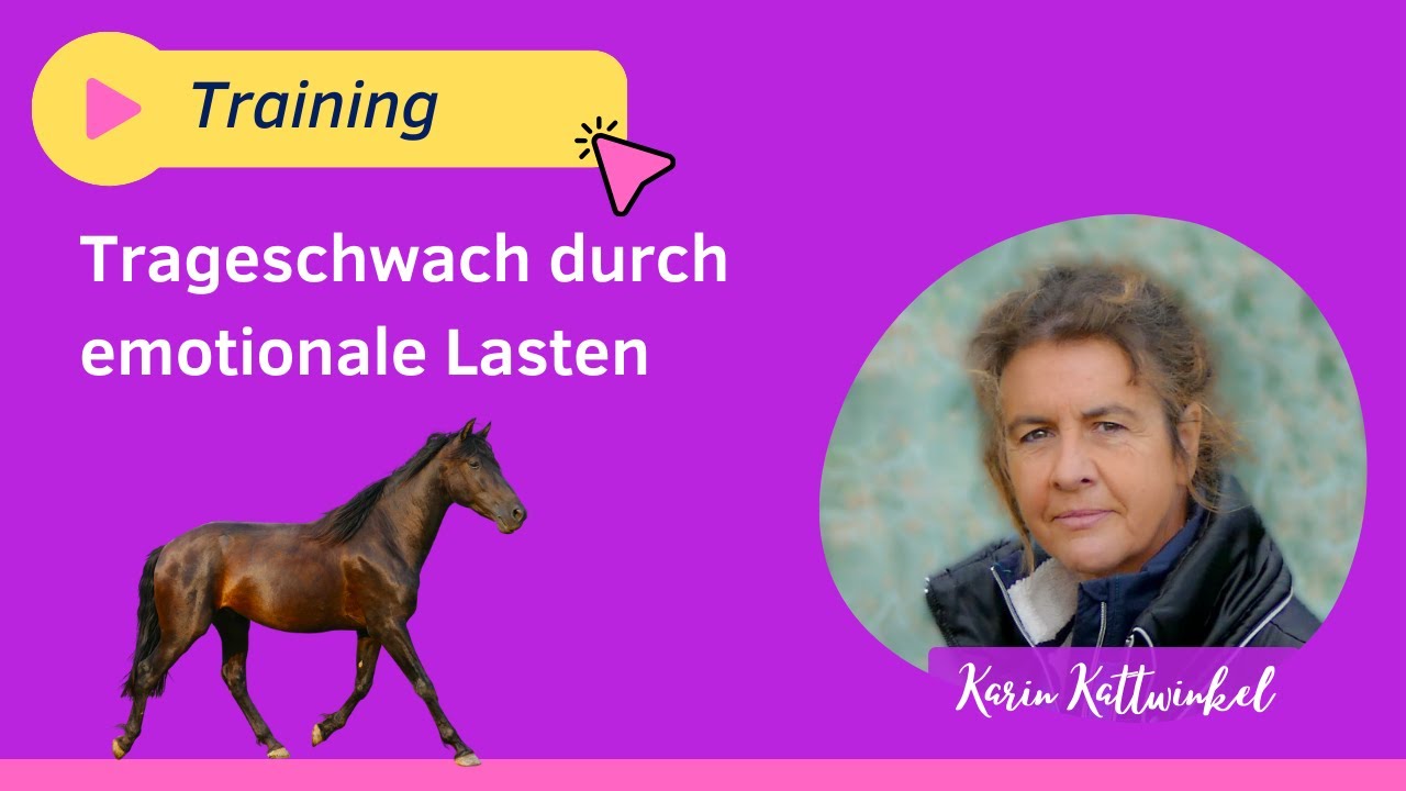 Trageerschöpftes Pferd durch emotionale Lasten des Besitzers? | Pferdegesundheit | Karin Kattwinkel