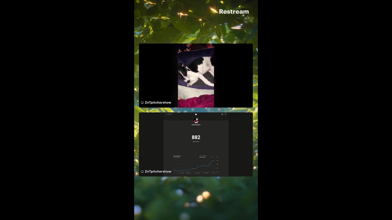 (Sub Goal 1k)