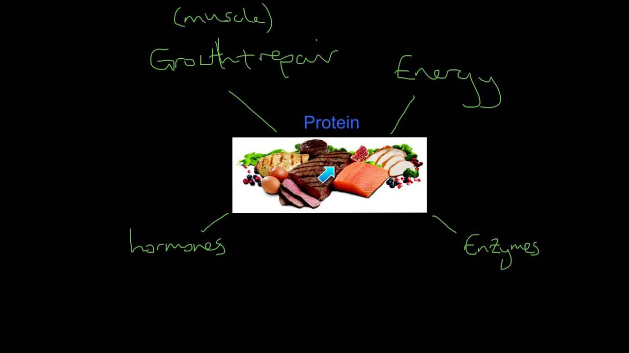 Roles of Nutrients