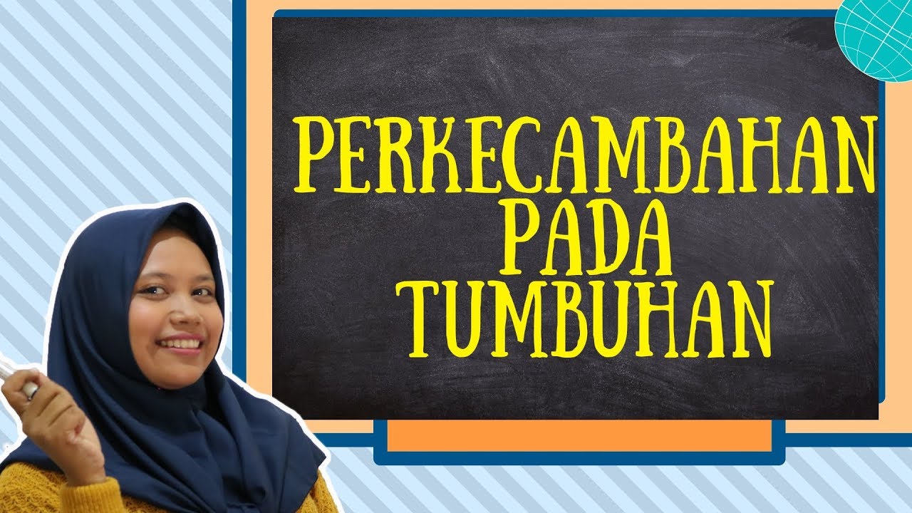 Memahami Proses Perkecambahan Pada tumbuhan dengan Mudah