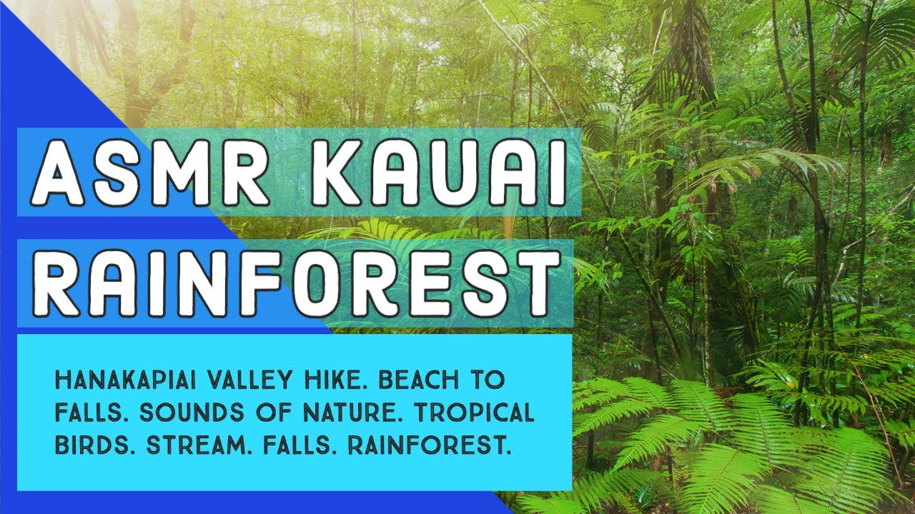 Kauai Rainforest Hike | Hanakapiai Valley with Sounds of Nature