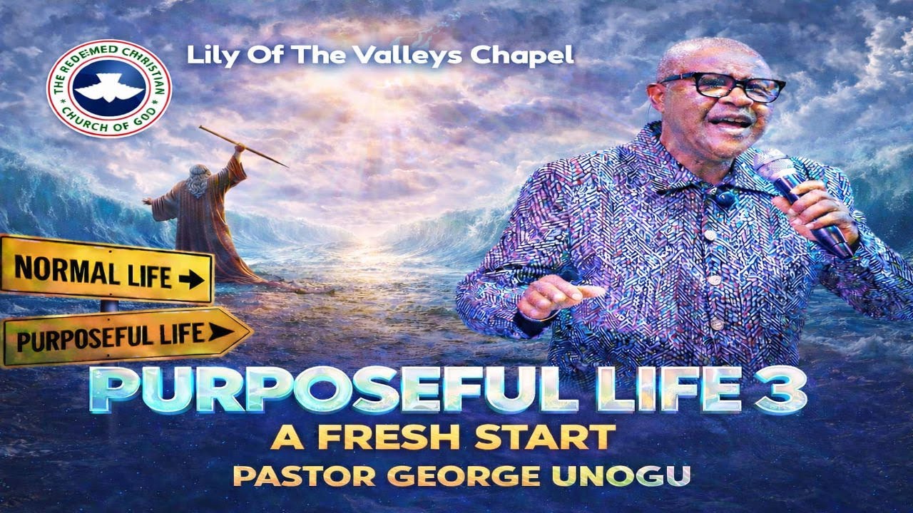 Purposeful Life - A fresh Start