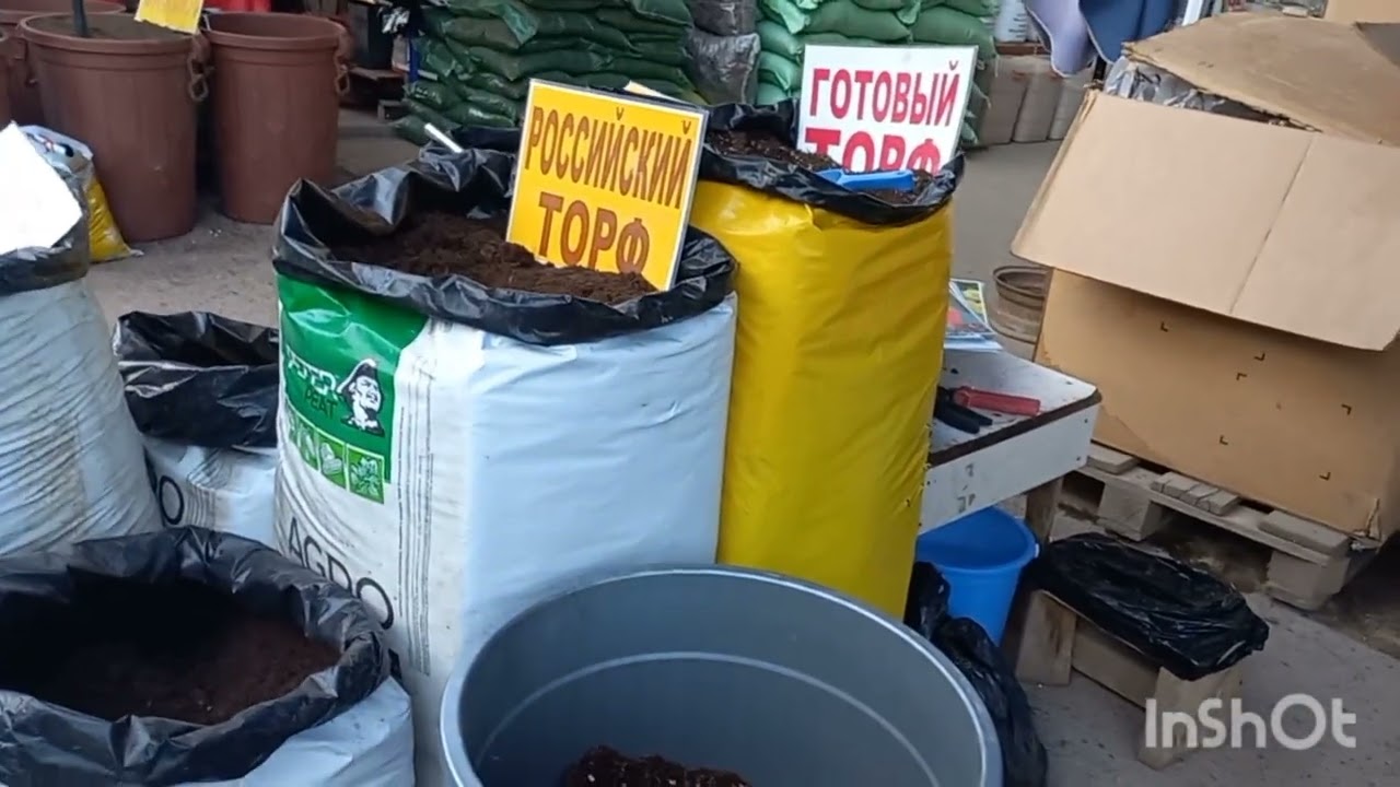 19 ФЕВРАЛЬ  ОЛИМ ДОДАНИ АТИРГУЛЛАРИ🌹🌹🥀🥀🌹🌹🥀🥀🌹🌹🥀🥀🌹🌹🥀🥀