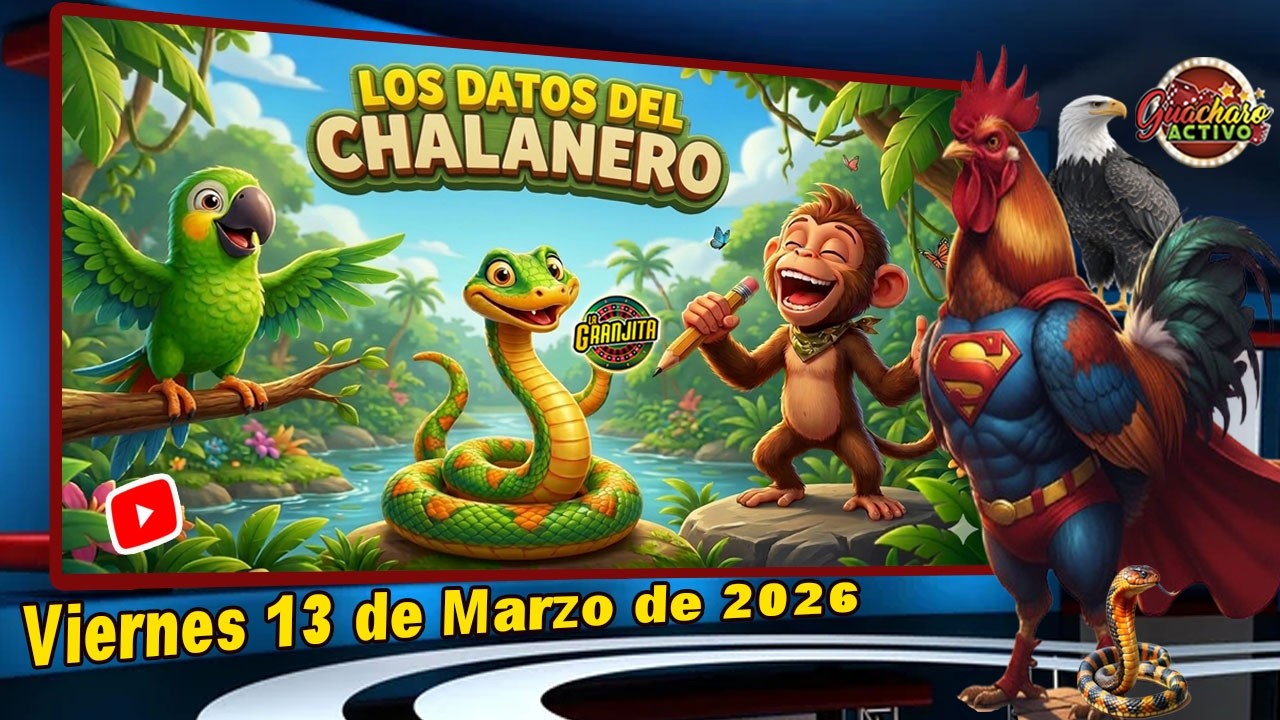 🎯 LOS DATOS DEL CHALANERO &ndash; PARA  GRANJITA y LOTTO ACTIVO &ndash; VIERNES 13 MARZO 2026🎯