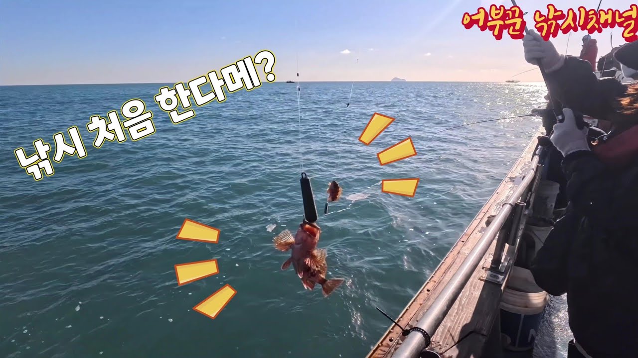 여수 다잡아 낚시 | 처음 낚시 한다는 여성 조사님!! 이거 수상한데~