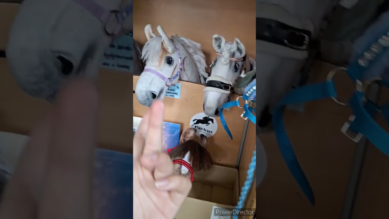 Moja stajnia dla hobby horse *aktualizacja* dużo akcesoriów na sprzedaż!