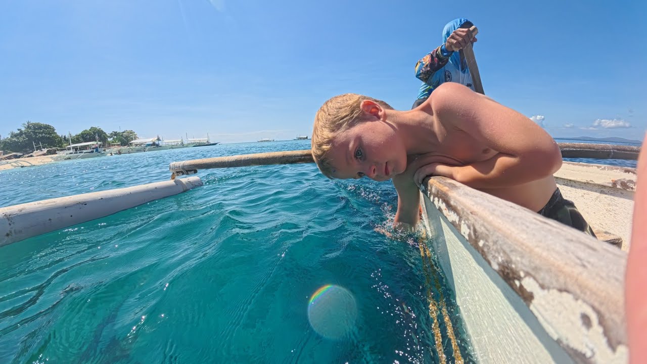 Turtle dive in Philliphines 