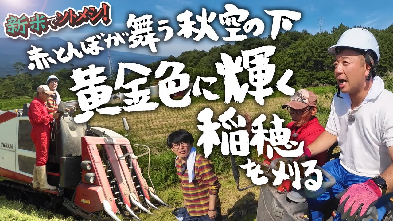 バイきんぐ西村＆阿諏訪　新米稲刈り・コンバインに初挑戦！