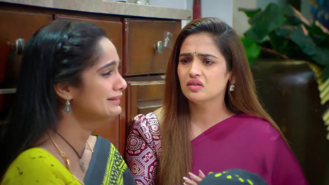 Ayali | Ep - 222 | Webisode | Feb 18 2026 | Zee Tamil