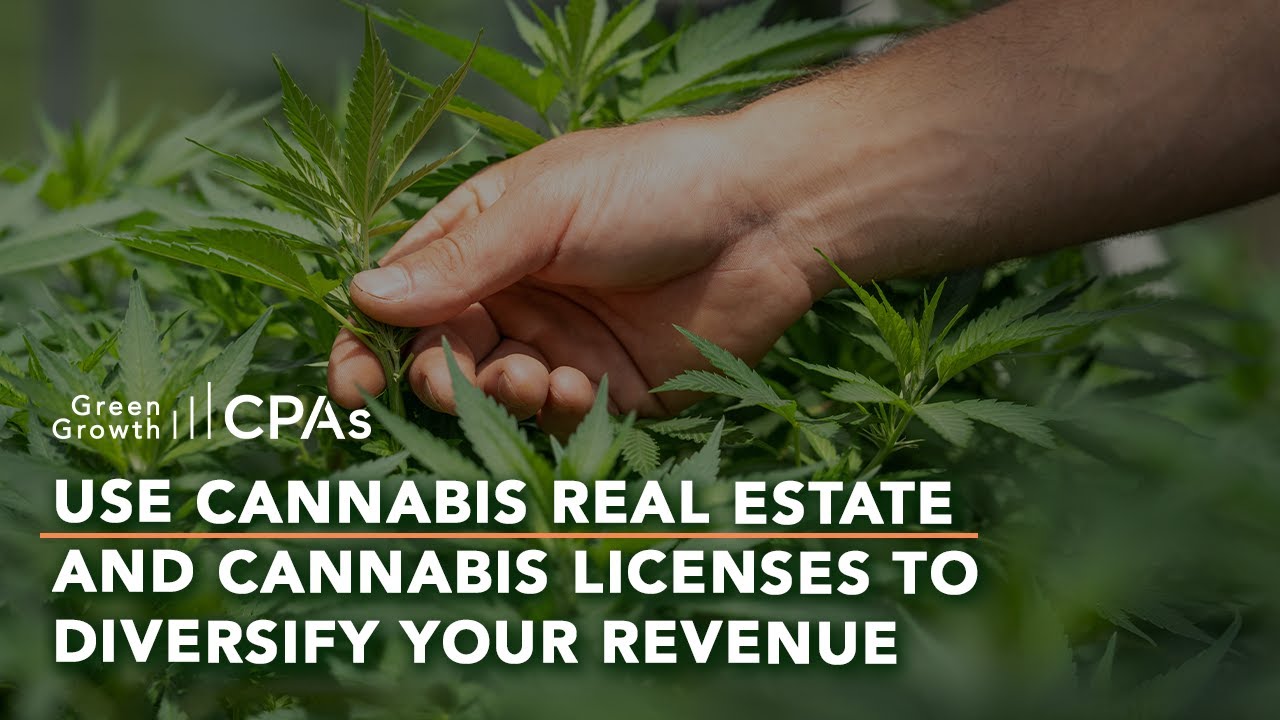 Use Cannabis Industry Real Estate and Cannabis Licenses to Diversify Your Cannabis Business Revenue