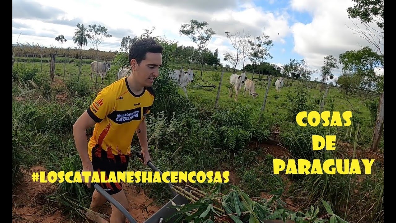 Cosas de Paraguay 1 (comida, costumbres, vida, etc...)