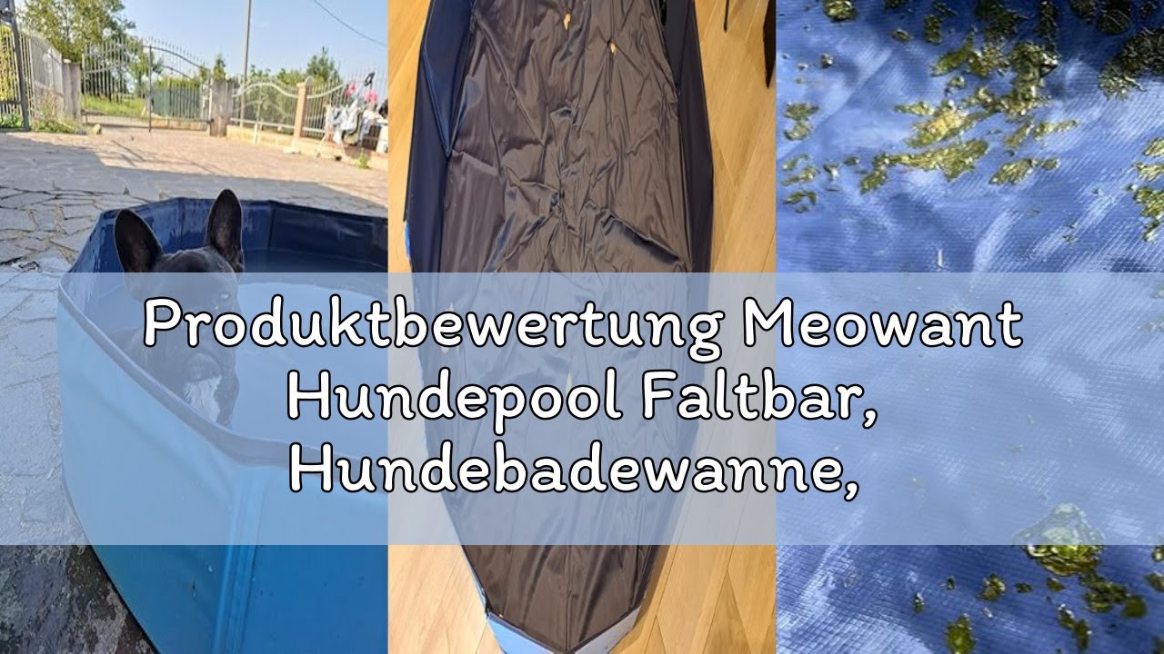 Produktbewertung Meowant Hundepool Faltbar, Hundebadewanne, Planschbecken Groß Verdickt PVC, Extra G