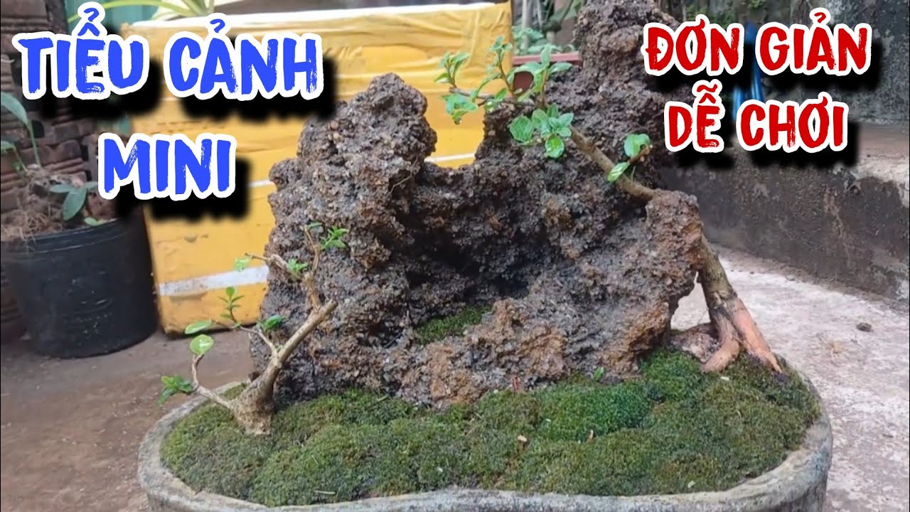 Khôi phục lại chậu tiểu cảnh mini đơn giản dễ chơi, Anh nông dân 