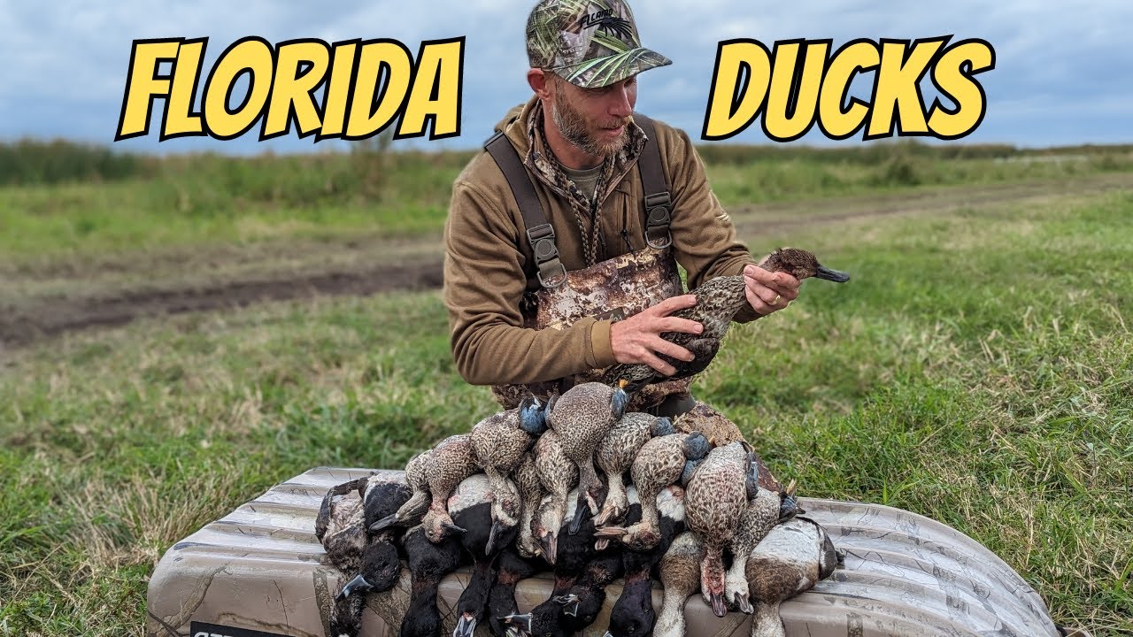 FLORIDA DUCK HUNTING! Public land quota hunt. Ringneck ducks and Teal!
