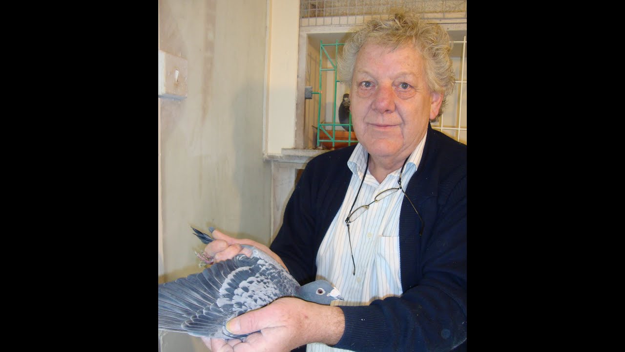 Video 118: Frank Bristow of Horbling: Premier Pigeon Racer