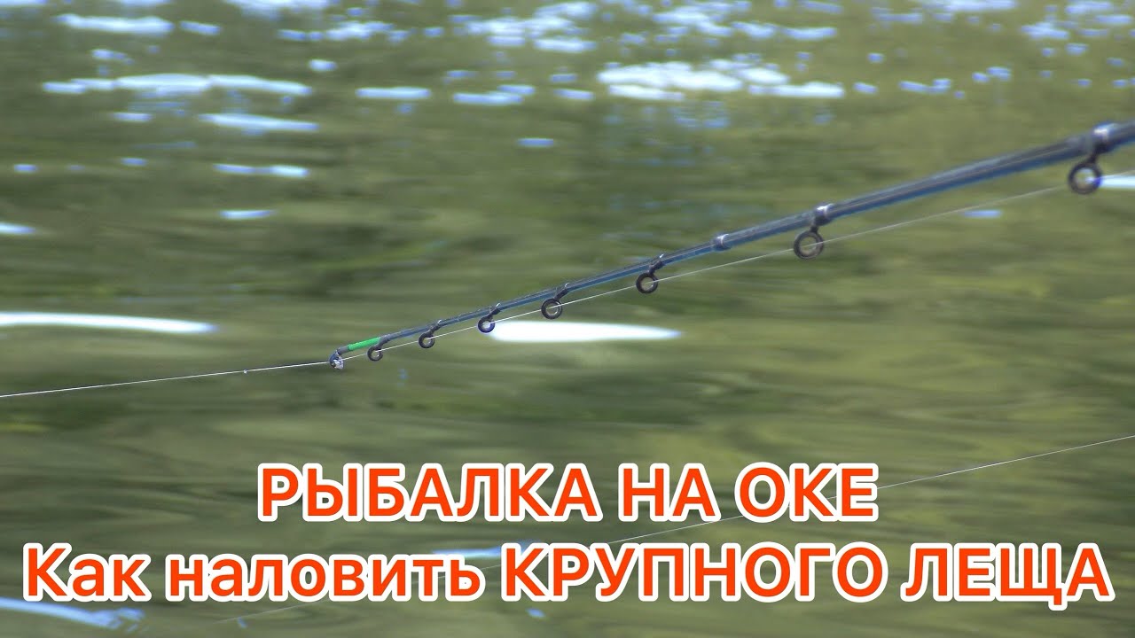РЫБАЛКА на ОКЕ / КАК поймать МНОГО ЛЕЩА / Всю ночь КОРМИЛ утром НАЛОВИЛ