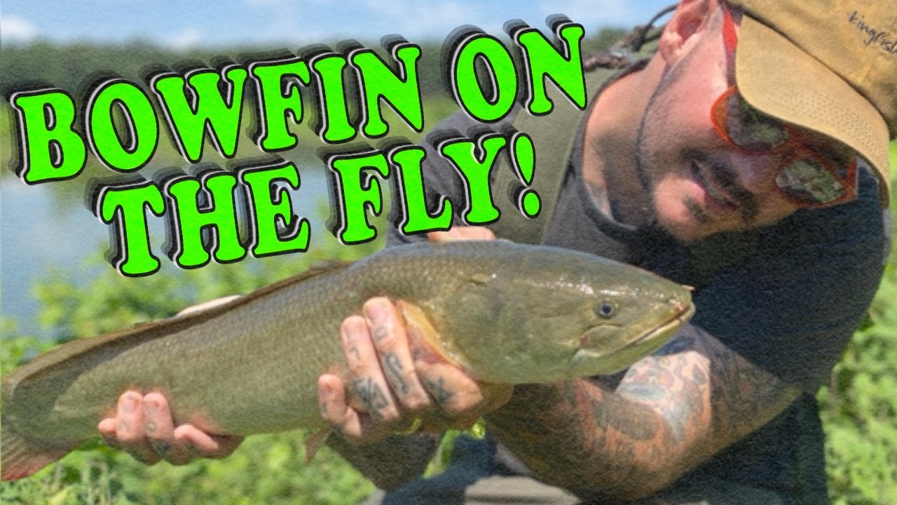 How To: Fly Fishing for Bowfin