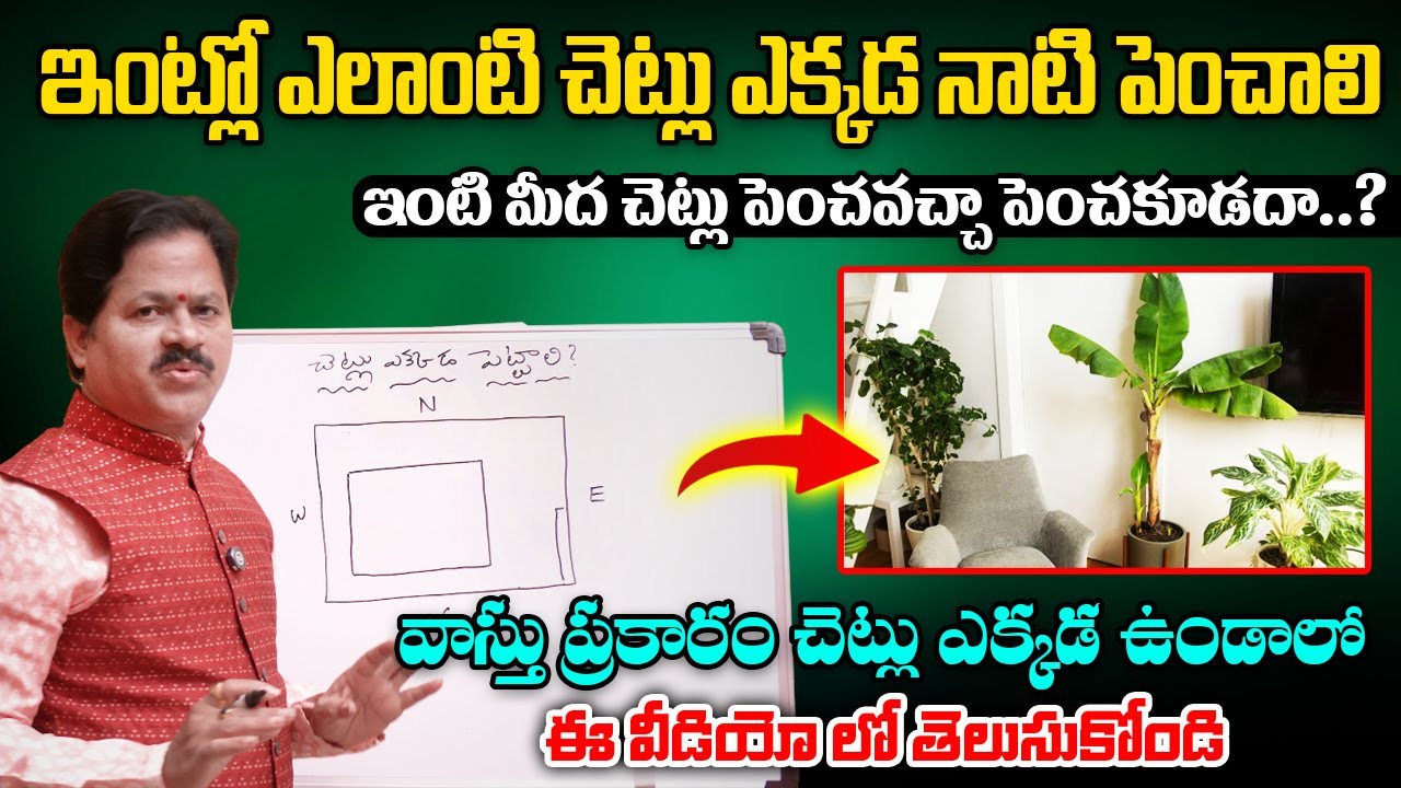 వాస్తు ప్రకారం చెట్లు ఎలాంటివి ఎక్కడ నాటి పెంచాలి..? Domala Nagendra about Trees Vastu In House