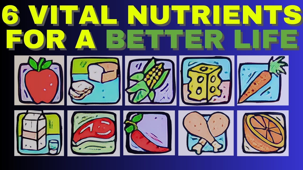 You need this 6 Essential Nutrients for a Healthy Life- Healthy State!
