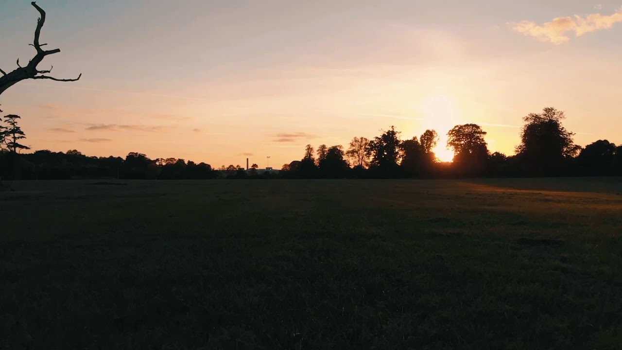 Santry park