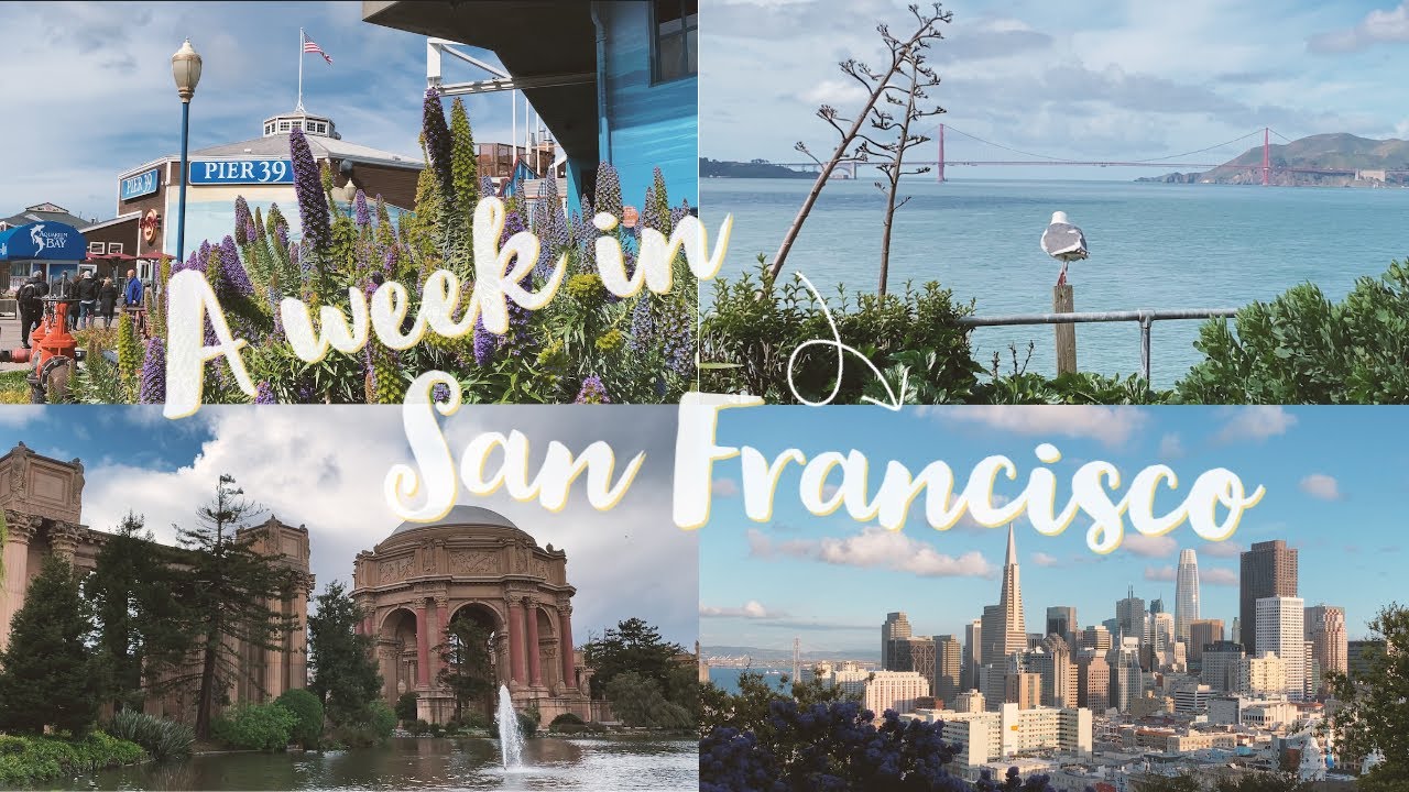 A WEEK IN SAN FRANCISCO (Part 1) // Golden Gate Bridge, Alcatraz, Pier 39, Palace of Fine Arts