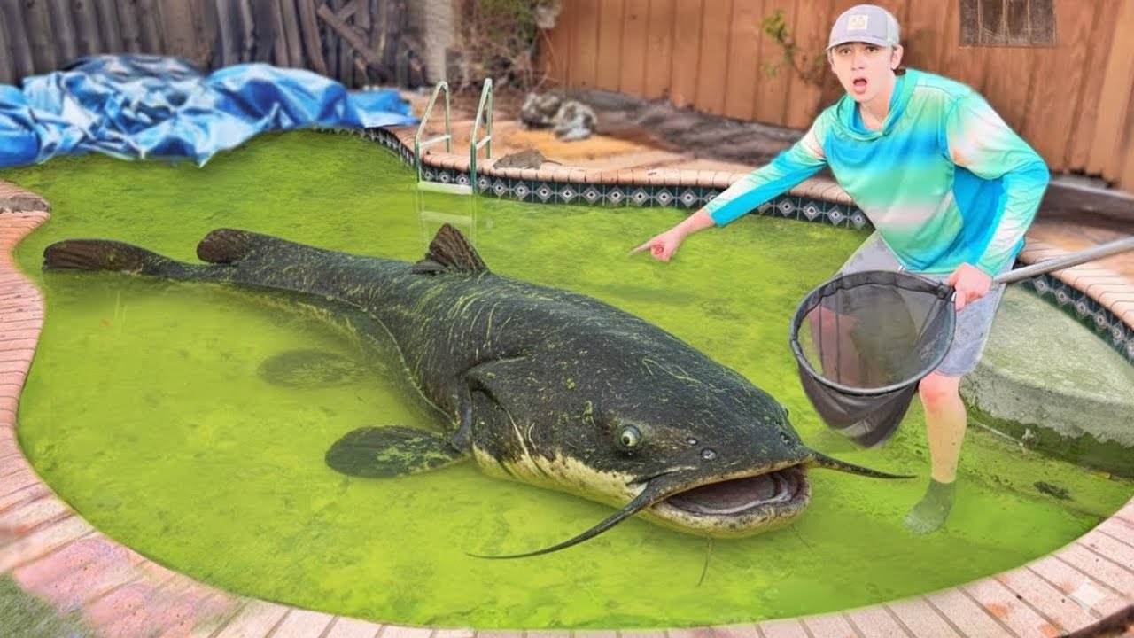 I Found a Abandoned Pool Filled with Monster Fish!
