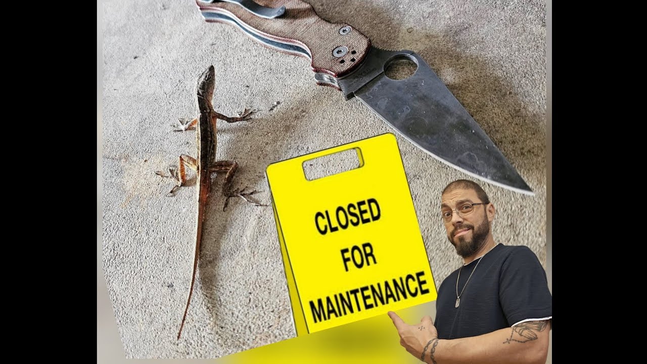 Maintenance and Center Blade on Spyderco Paramilitary 2 Folding Knife