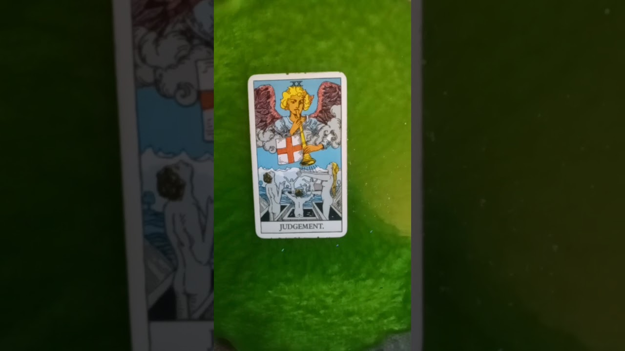 Single Tarot Card Pull 408. #shorts #tarot #singletarot
