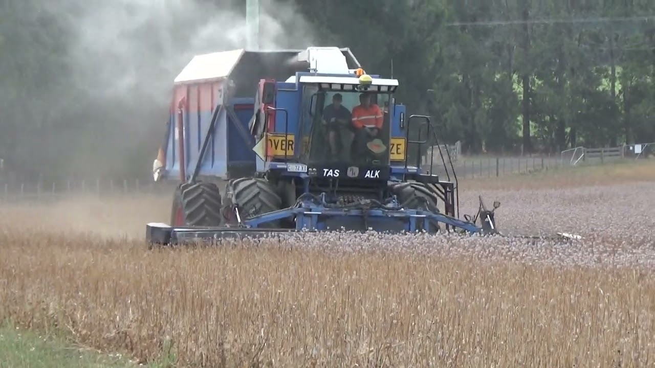 Willowvale Poppy Harvest 2026 Part 1