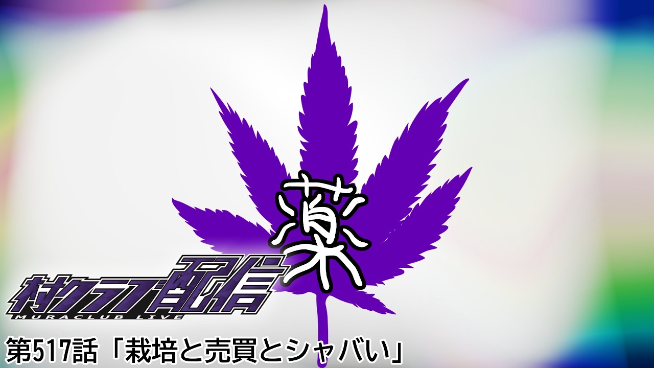 『SIFS』第517話「栽培と売買とシャバい」