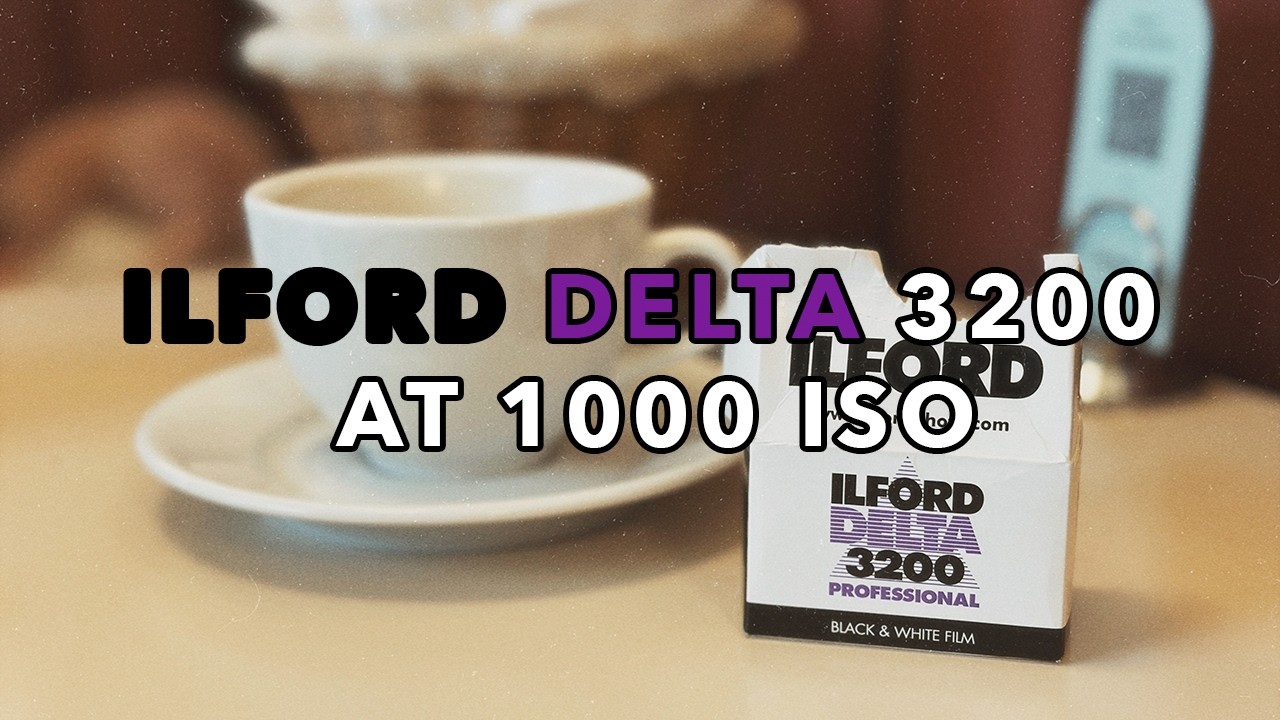 Ilford Delta 3200 at 1000 ISO