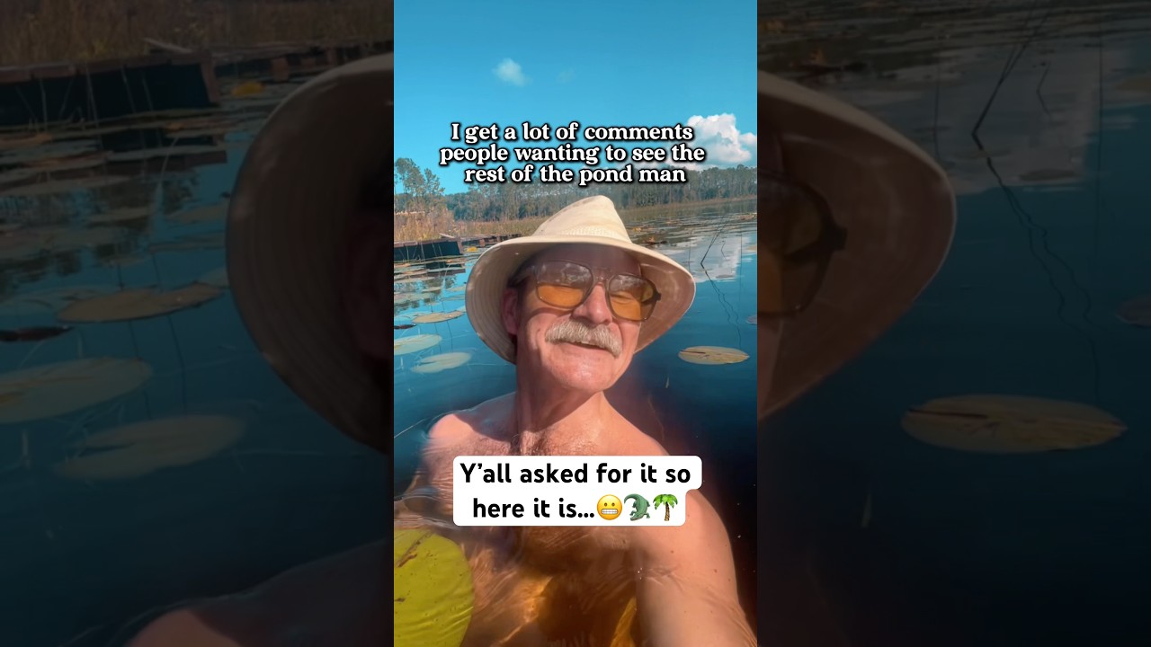 Вы все просили, и вот он&hellip; ТУР ПО ПРУДАМ 🐊 #природа #аллигаторы #животные