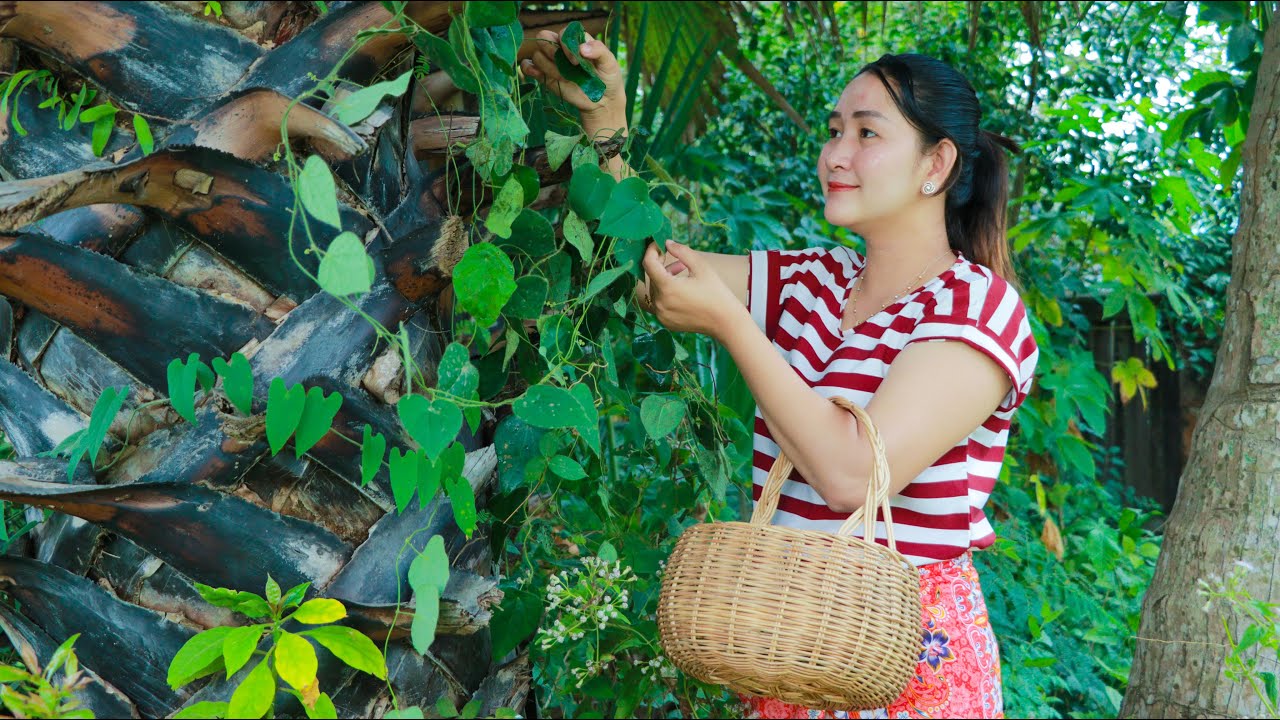 Green Grass Jelly Cooking - Jelly Making From Plant - Cooking With Sros