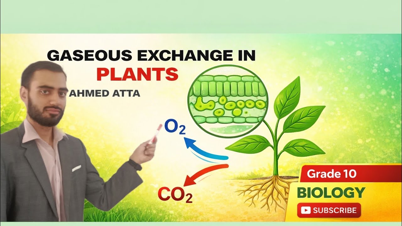 Class 10 Biology |Unit 1Lecture1 Gaseous Exchange in Plants |  | Stomata, Lenticels Explained.