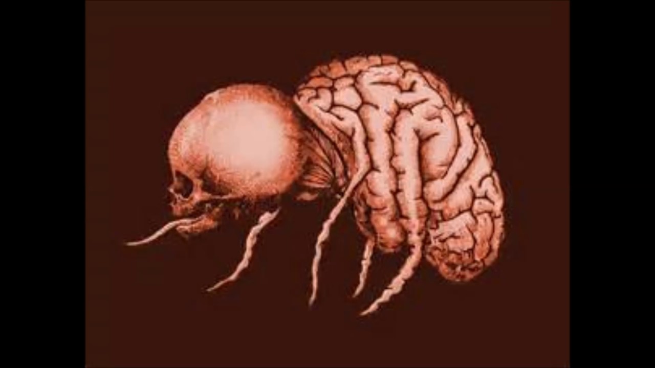 Area 23 - Virus Mortel (Acid / Mental)