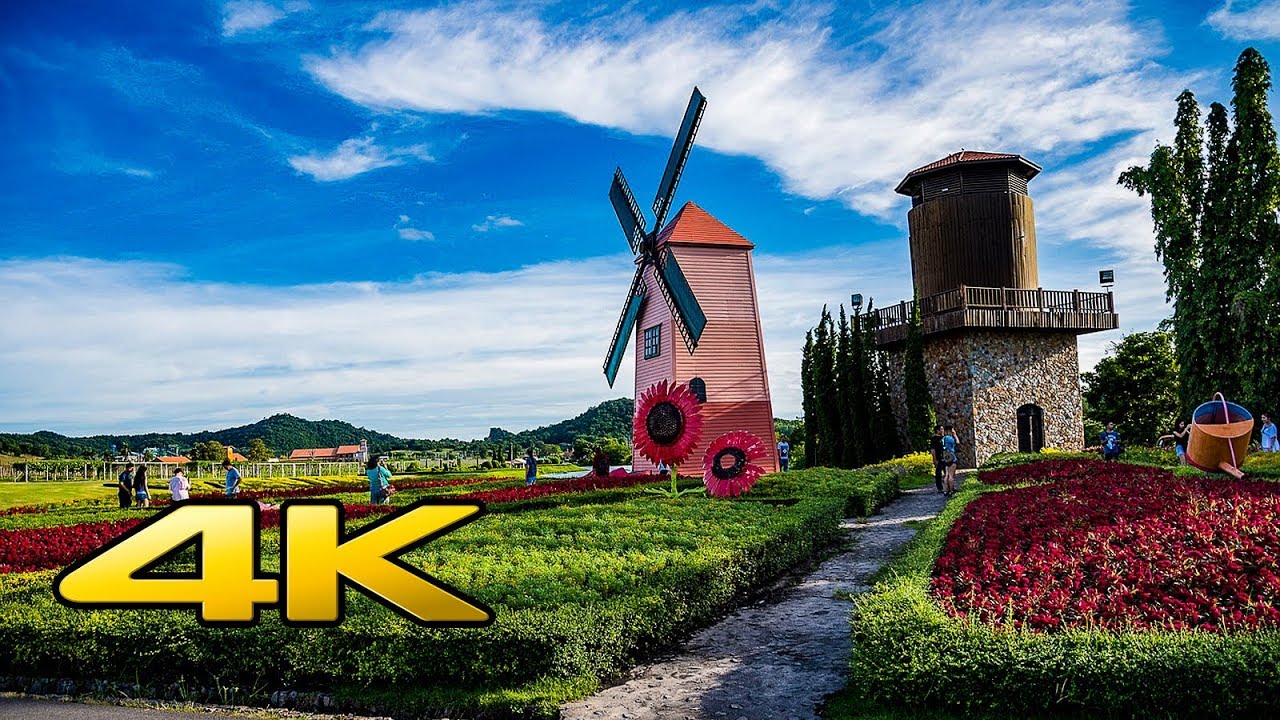 Silverlake Vineyard ,Pattaya Thailand in 4k Ultrahd