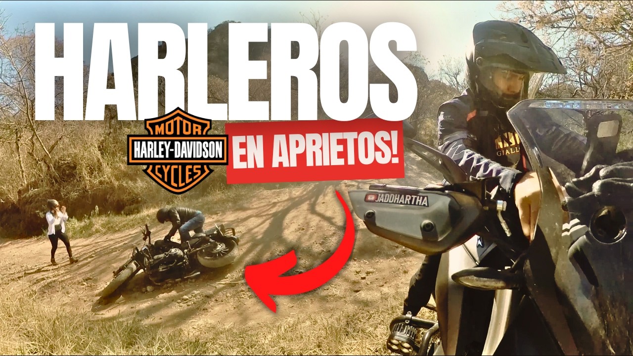 Motos HARLEY DAVIDSON en ⛰️🪨 OffRoad 🥵 | CAÍDAS, Piramides y un TRÁILER M0T4L 💥🚚