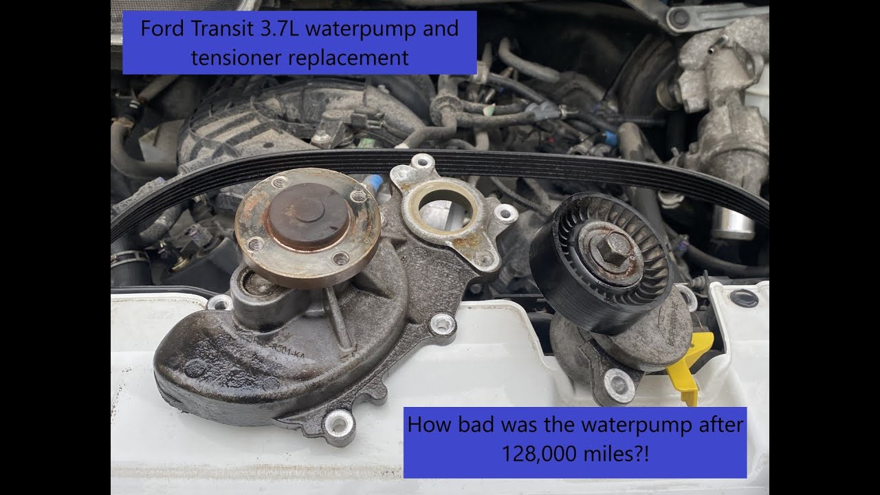 Замена водяного насоса Ford Transit 350 3.7L V6 вместе с ремнем ГРМ и натяжителем