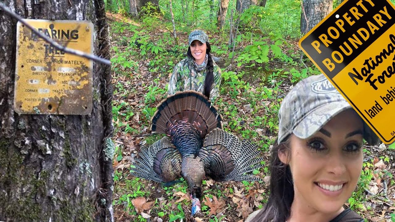 Hardwood Ridge Turkey Hunt / Hunter Interference/ Hunting Finicky Late Season Birds